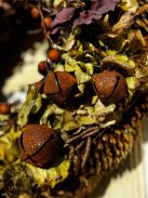 KK02- Karácsonyi kopogtató 